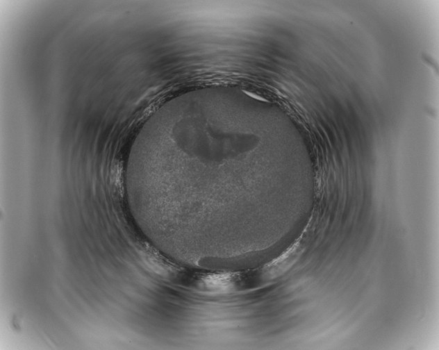 X0000097000178200802221529