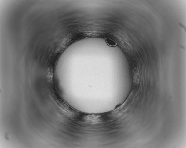 X0000097000179200802221529