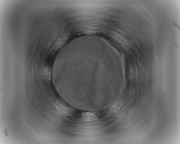 X0000097000180200802221529