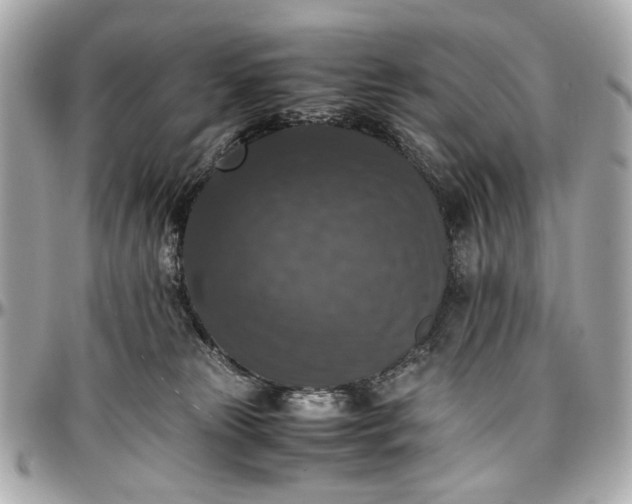 X0000097000181200802221529