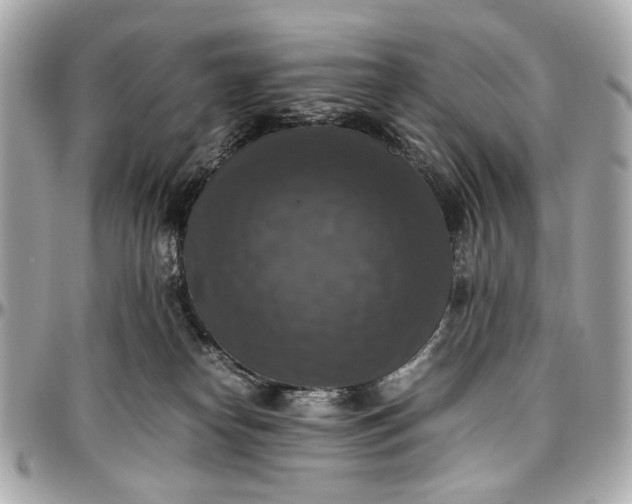 X0000097000182200802221529