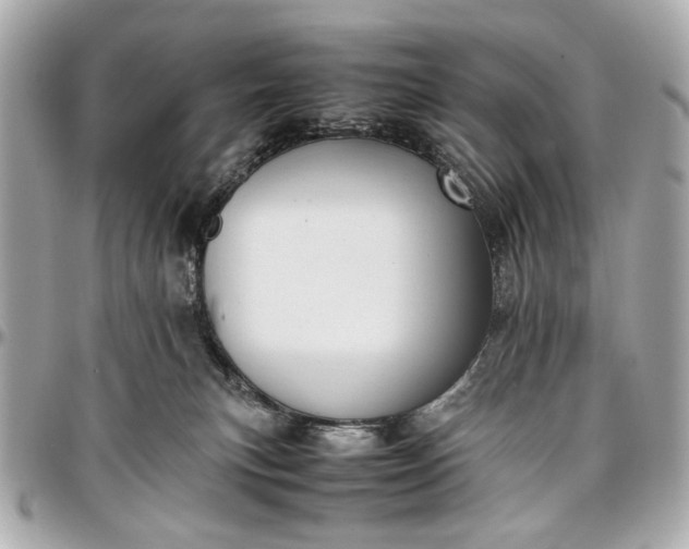 X0000097000183200802221529