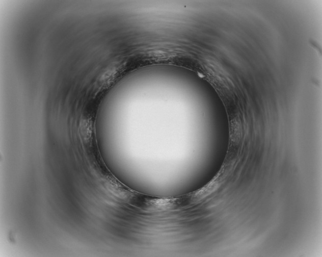 X0000097000184200802221529