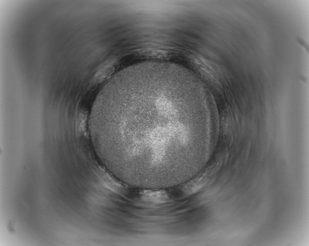 X0000097000185200802221529