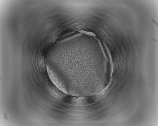 X0000097000186200802221529