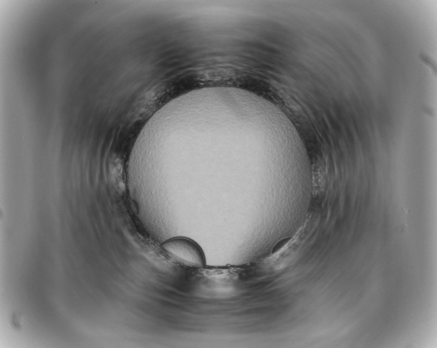 X0000097000187200802221529