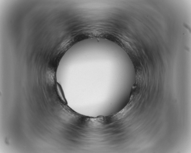 X0000097000188200802221529