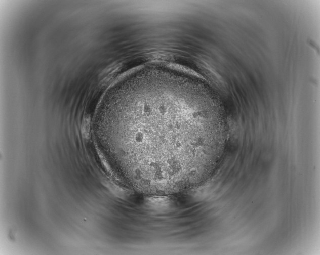 X0000097000189200802221529