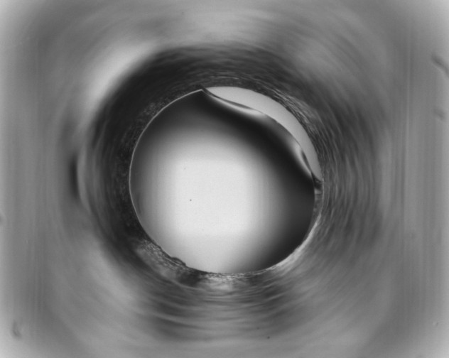 X0000097000190200802221529