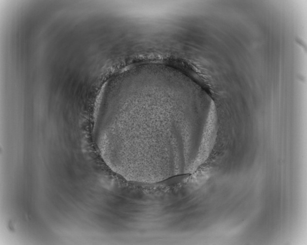 X0000097000192200802221529