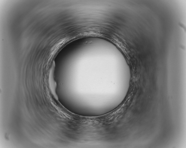 X0000097000193200802221528