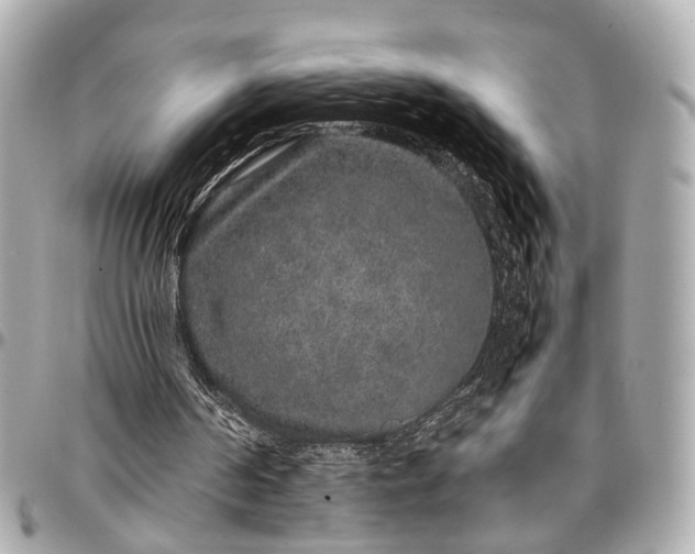 X0000097000194200802221528