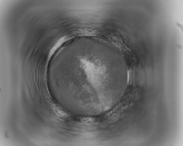 X0000097000195200802221528