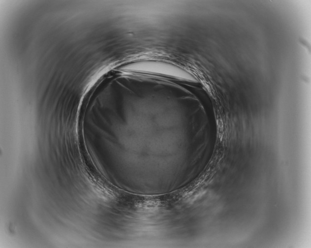 X0000097000196200802221528