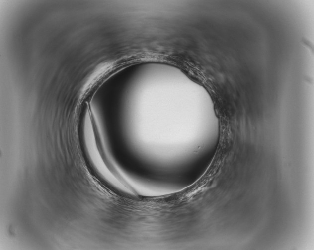 X0000097000197200802221528