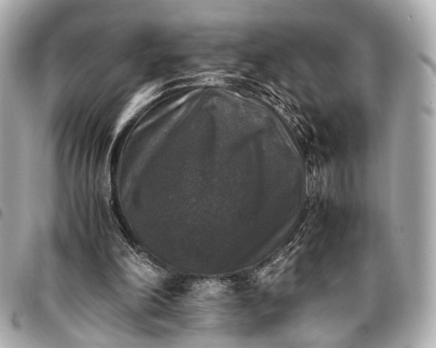 X0000097000198200802221528