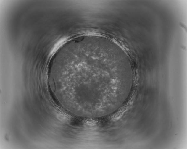 X0000097000199200802221528