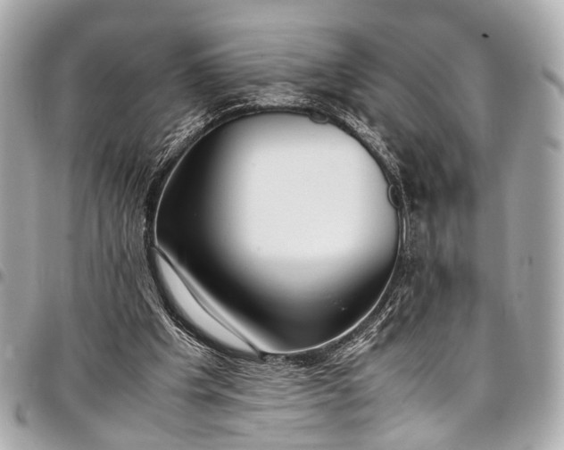 X0000097000201200802221528