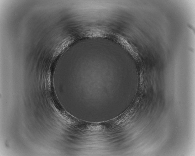 X0000097000202200802221528