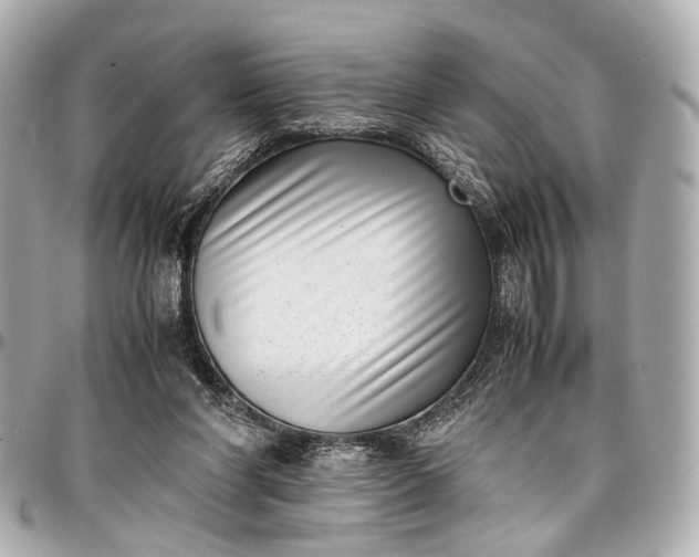 X0000097000206200802221528