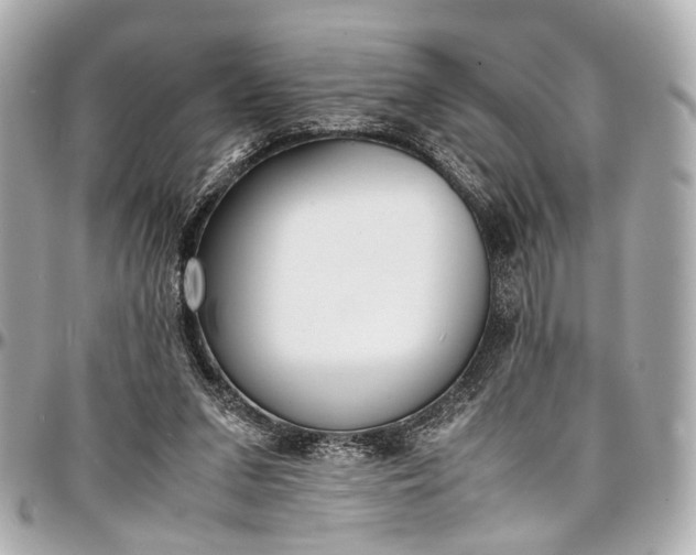 X0000097000207200802221528