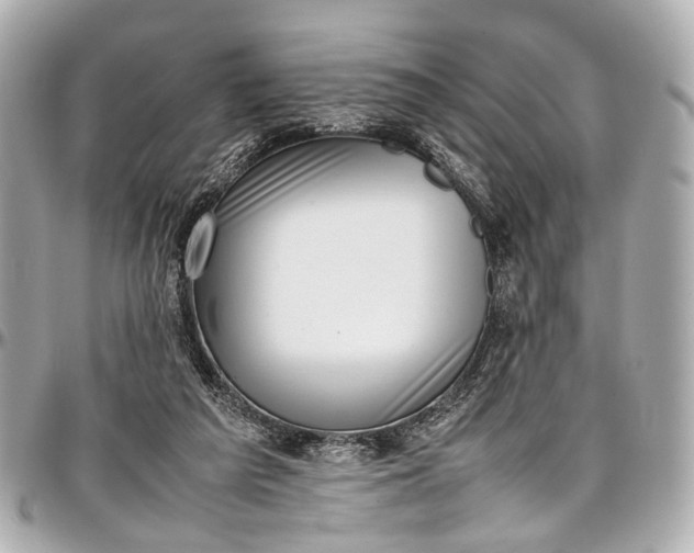 X0000097000209200802221528