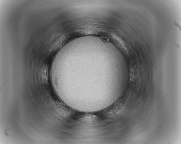 X0000097000210200802221528