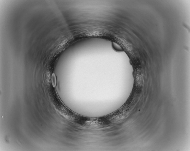 X0000097000211200802221528