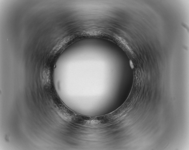 X0000097000212200802221528