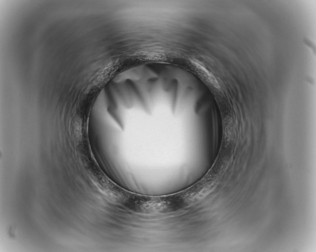 X0000097000213200802221528