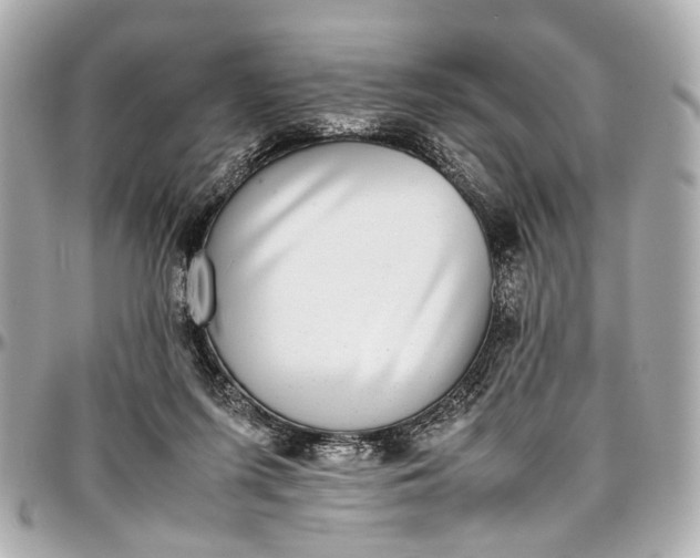 X0000097000215200802221528