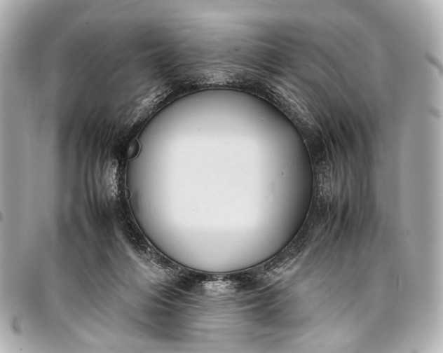 X0000097000216200802221528