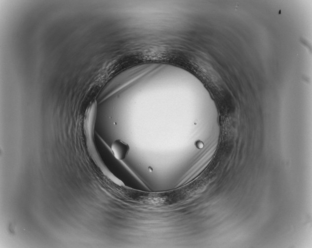 X0000097000217200802221528