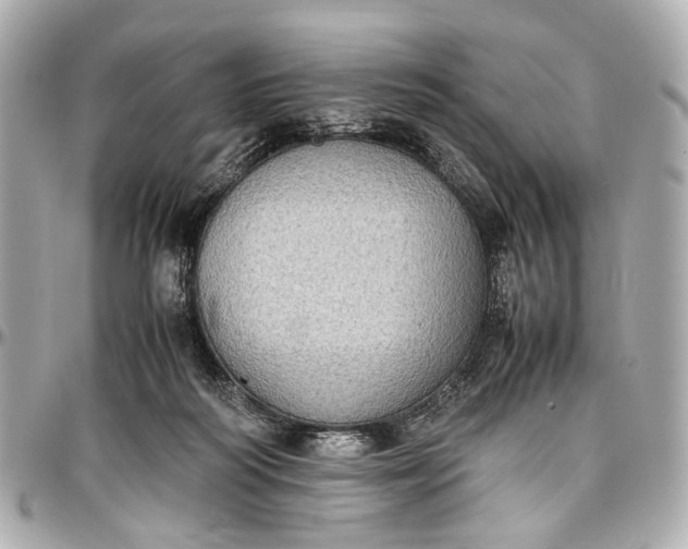 X0000097000218200802221528