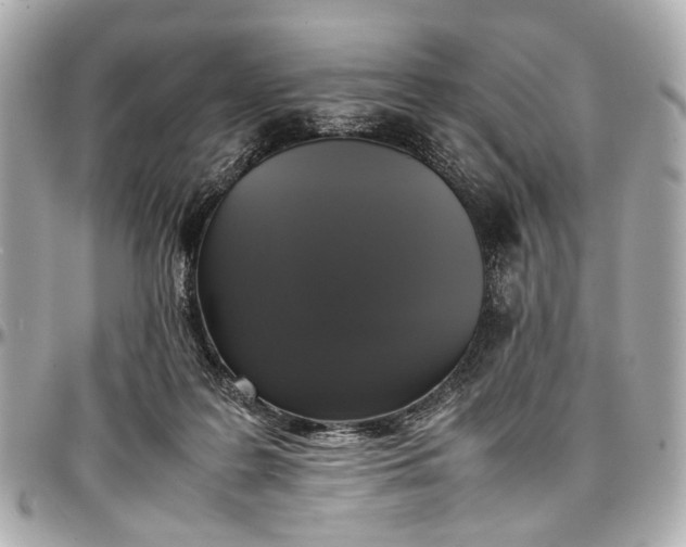 X0000097000219200802221528