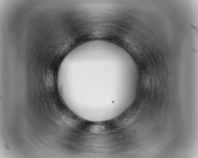 X0000097000220200802221528