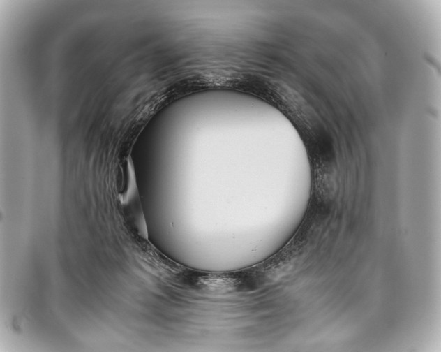 X0000097000221200802221528