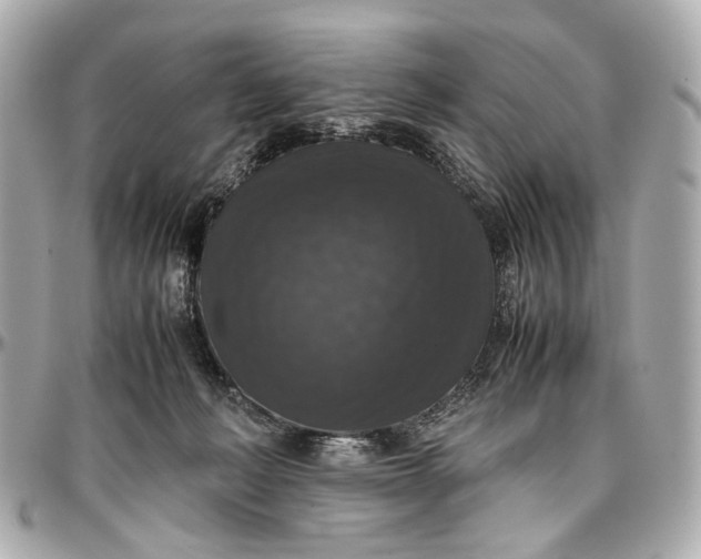 X0000097000222200802221528