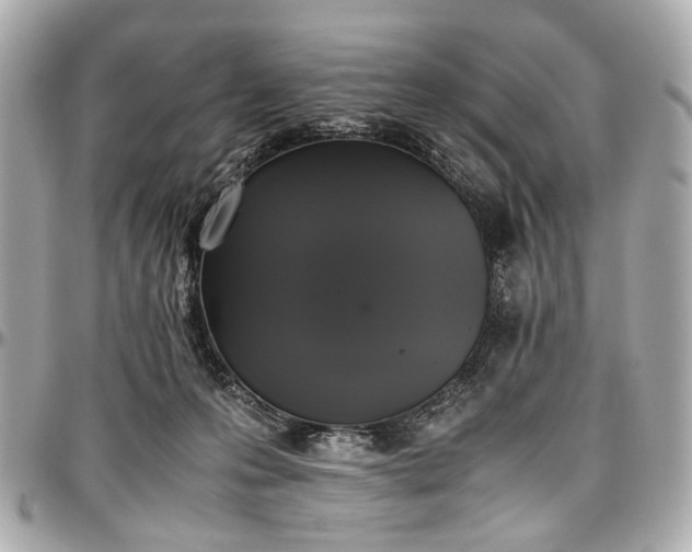 X0000097000223200802221528