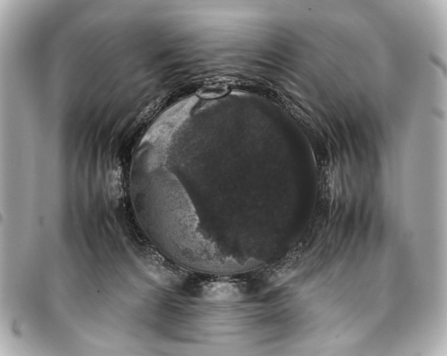 X0000097000224200802221528