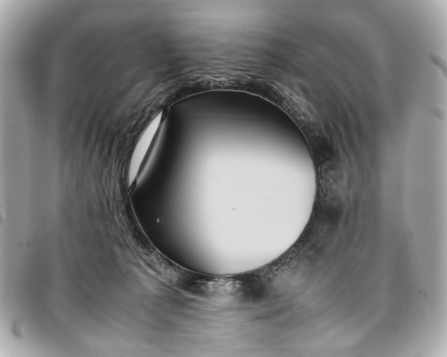 X0000097000225200802221528