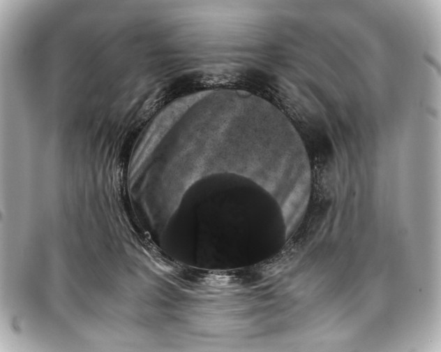 X0000097000227200802221528