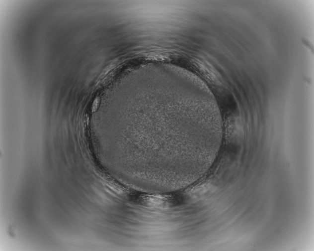 X0000097000229200802221528