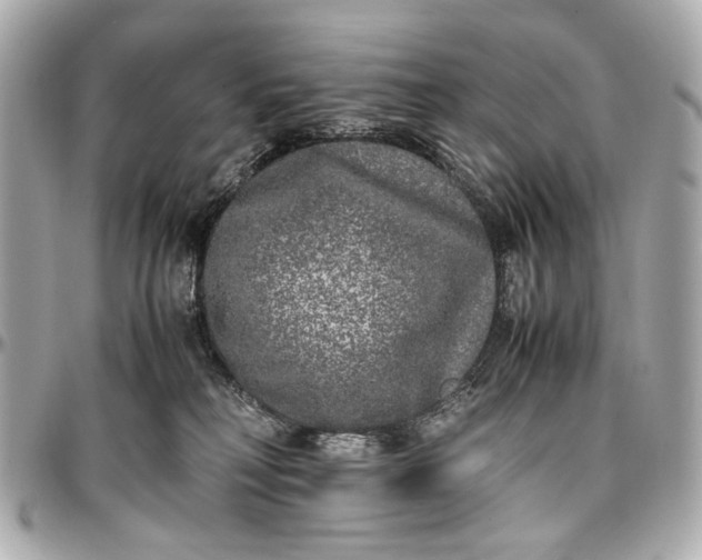 X0000097000230200802221528