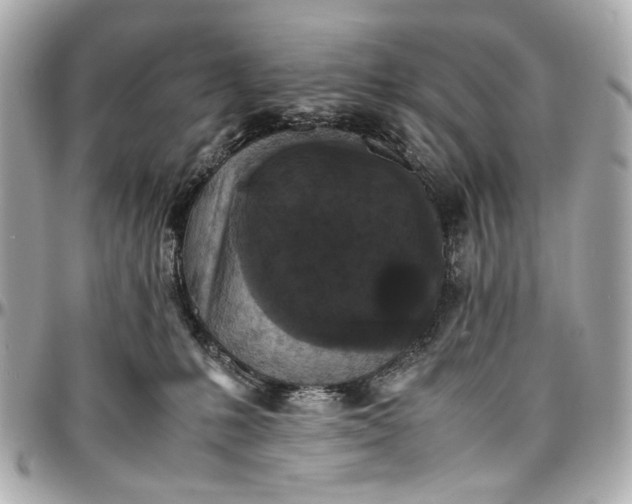 X0000097000231200802221528