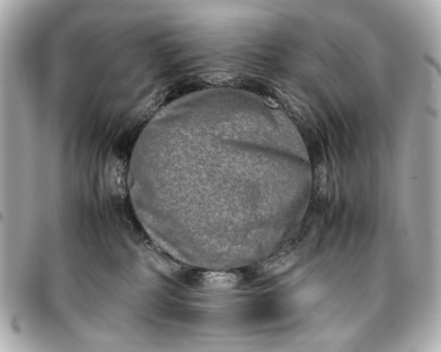 X0000097000234200802221528