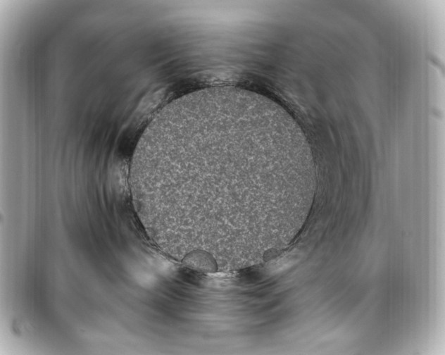 X0000097000240200802221528