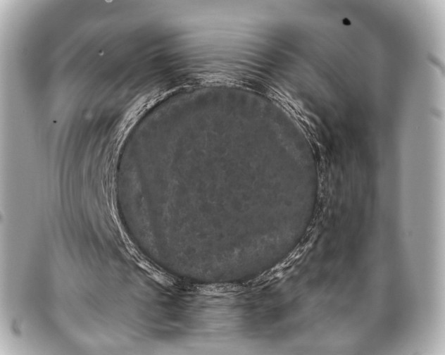 X0000097000241200802221527