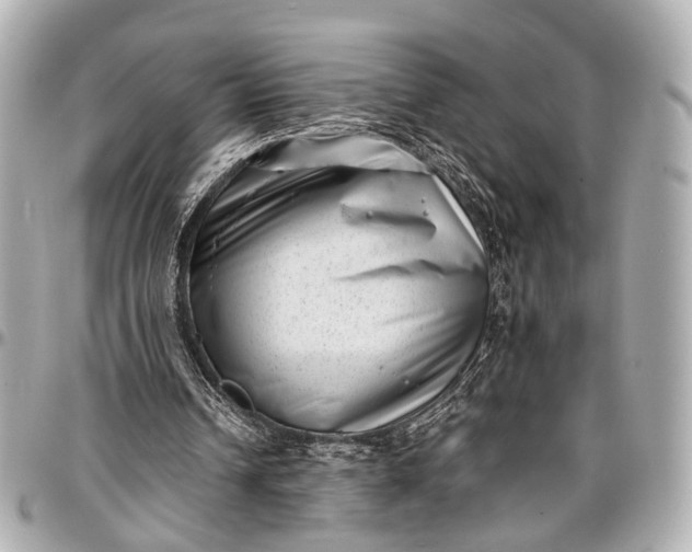 X0000097000242200802221527