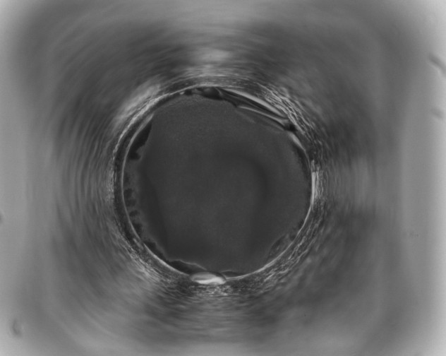 X0000097000243200802221527